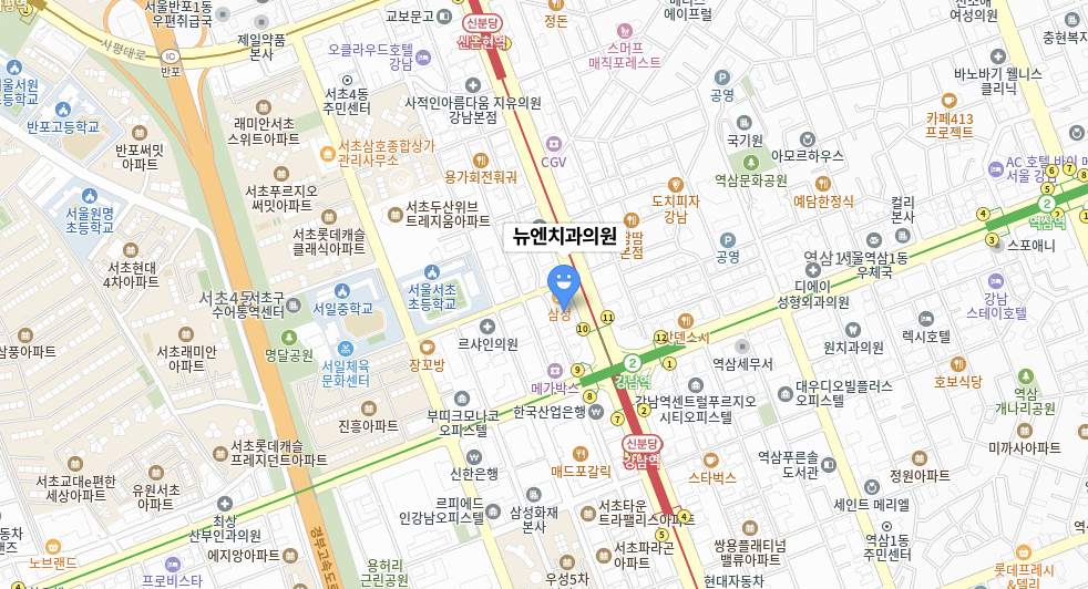 뉴엔치과의원 위치가 표시된 강남역 일대 지도